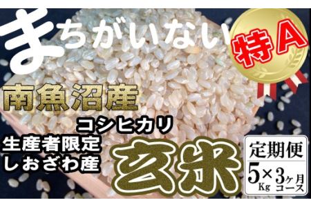 玄米 生産者限定 南魚沼しおざわ産コシヒカリ5Kg×3ヶ月