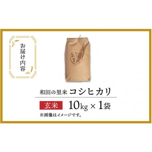 ふるさと納税 福井県 高浜町 和田の里米 コシヒカリ 玄米 10kg