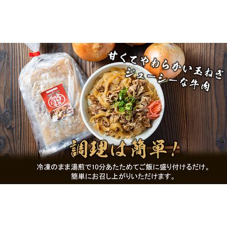 ふるさと納税 淡路島たまねぎ牛丼の具　150g×10食 兵庫県淡路市