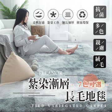 【臺灣出貨】地毯 絨毛地墊 北歐大地毯 床邊地毯 客廳房間臥室床邊毯 毛絨 地墊 地毯  露天市集 全台最大的網路