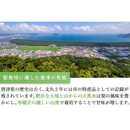 ふるさと納税 今が食べ頃 特栽 愛宕梨5kgフルーツ 果物 ギフト 佐賀県唐津市