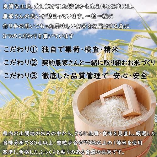 令和4年産 新潟産県 コシヒカリ 5kg 白米 精米 (食味分析80点以上） １等米使用 新潟産 コシヒカリ 新潟 コシヒカリ こしひかり お米