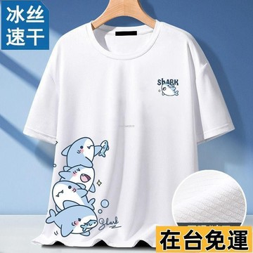 🔥台灣發出🔥 短袖上衣 冰絲上衣 冰絲短袖t恤男2025新款夏季百搭速干網眼半袖男士運動上衣打底衫