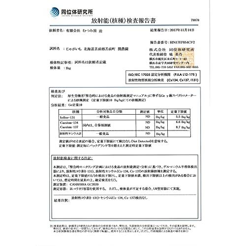 むつみ屋 旬の無農薬野菜セット 13品