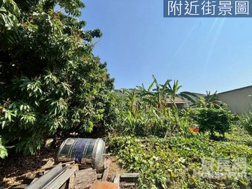 近富邦BOT｜增值淺力無窮｜公園用地｜高雄市鼓山區龍華段三小段