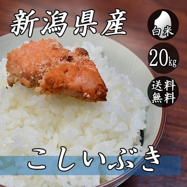 お米 20kg 新潟産 こしいぶき 5kg×4袋 送料無料 令和5年産 米 白米