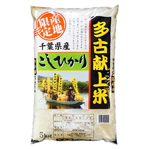 千葉県 多古産 無洗米 こしひかり 5kg 令和5年産