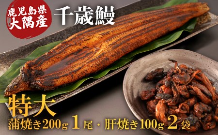 鹿児島県大隅産　特大うなぎ蒲焼200g 1尾・鰻の肝焼き100g×2袋セット