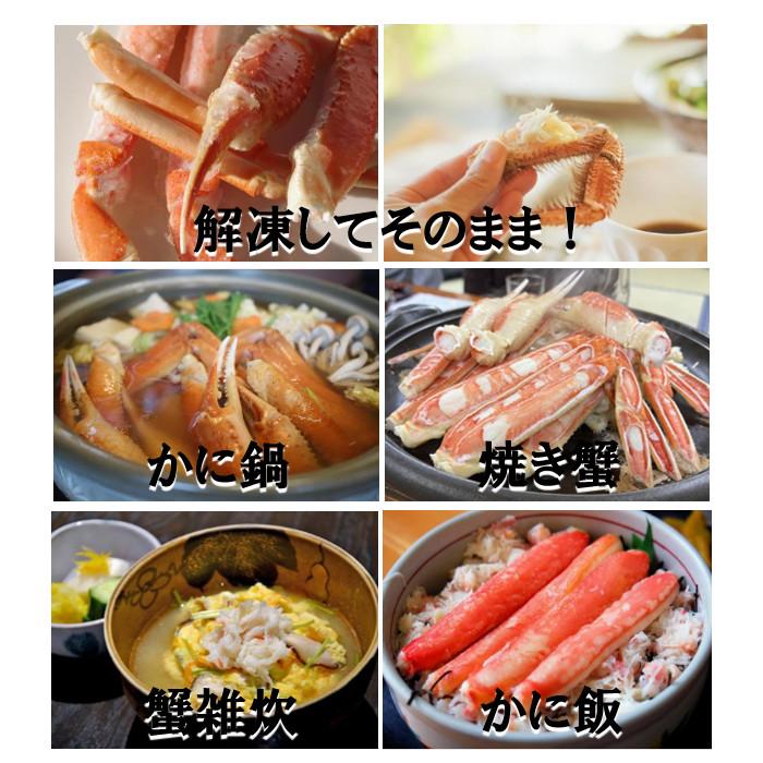 ボイル毛がに １尾 800g 送料無料（沖縄・離島は除く） 毛ガニ 毛蟹 カニ 蟹 かに ロシア産