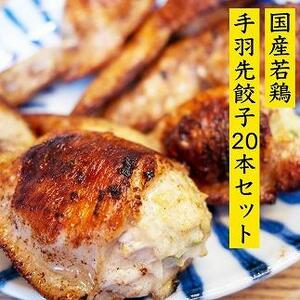 餃子専門店が作った手羽先餃子20本入り