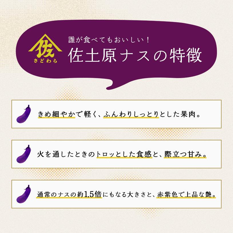 宮崎県特産品佐土原茄子１０本