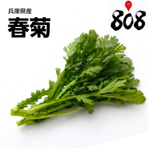 春菊 きくな 1束野菜 葉物野菜 やさい 詰め合わせ セット おうち時間 