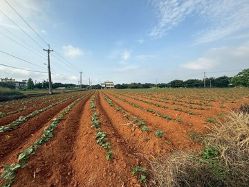 台中神清路稀有大面寬三面臨路農地｜台中市清水區東山段