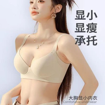 無痕內衣 大胸顯小內衣 調整型 收副乳內衣 上託 防下垂內衣 聚攏內衣 大碼內衣 全罩杯內衣 文胸 內衣女