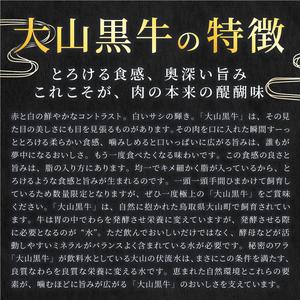 ふるさと納税 HA-02　肉質日本一の和牛「大山黒牛」切り落とし1kg 鳥取県大山町