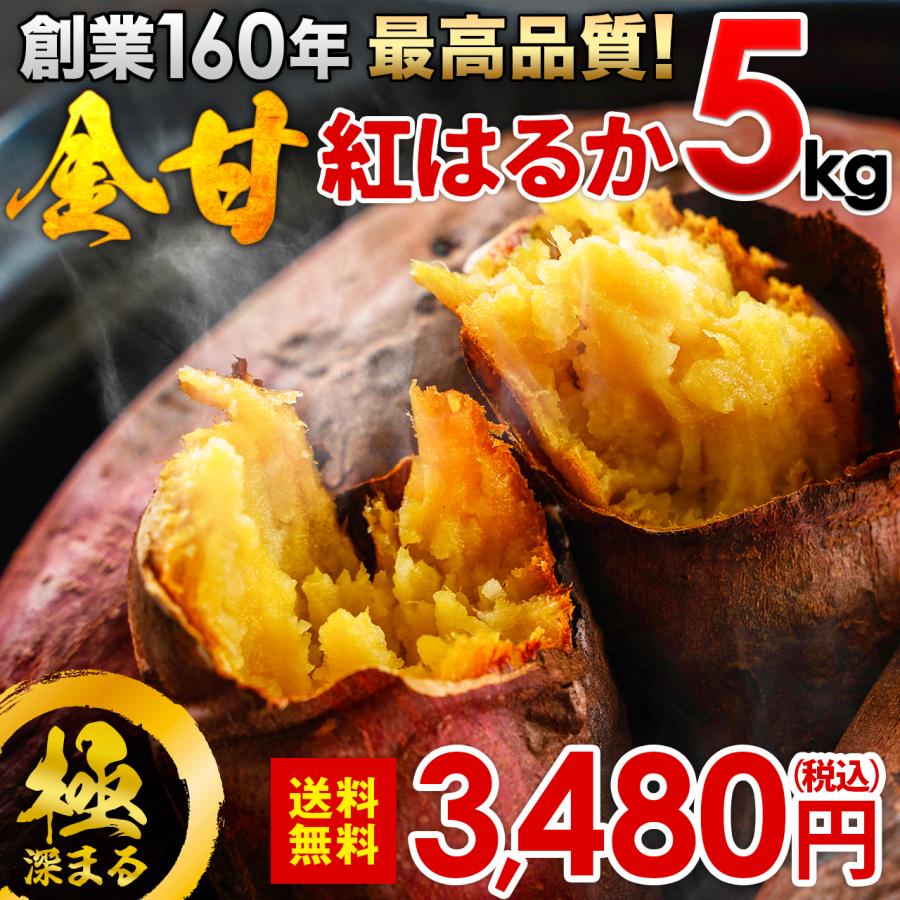 宮崎県産 さつまいも 紅はるか(生芋) 5kg 送料無料 サツマイモ