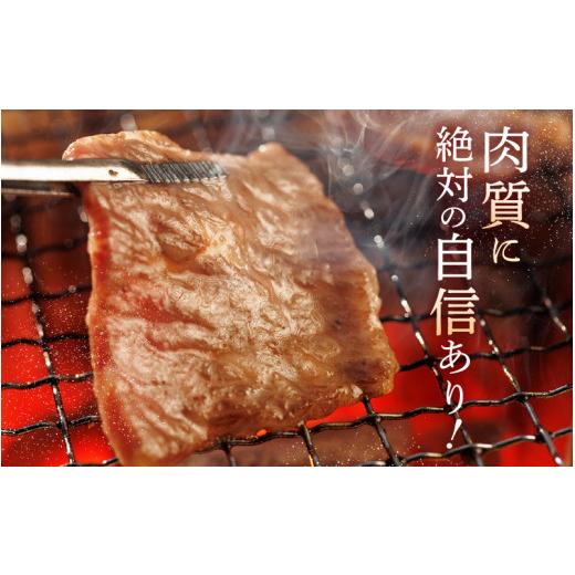 ふるさと納税 福井県 坂井市 若狭牛焼肉 赤身三種 食べ比べセット 〜地元青年農家の野菜・果物付き〜 [D-1803]