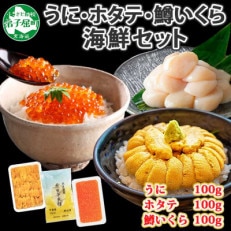 ウニ 100g 鱒いくら醤油漬け 100g ホタテ 100g 海鮮丼 北海道 弟子屈 1749