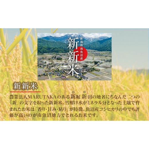 ふるさと納税 新潟県 南魚沼市 南魚沼産コシヒカリふるさと八海山の農家直販（５kg×全１２回）