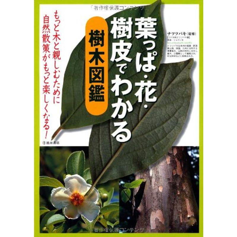 葉っぱ・花・樹皮でわかる樹木図鑑-もっと木と親しむために 自然散策がもっと楽しくなる