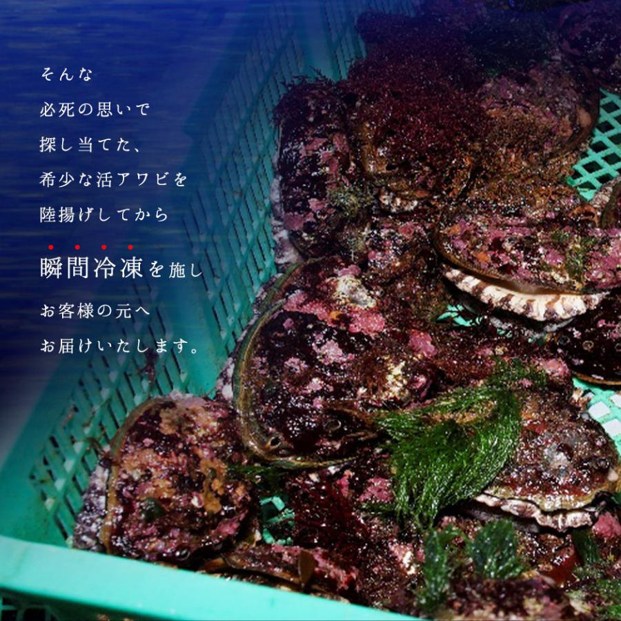 あわび 鮑 北海道 礼文 利尻島産 天然アワビ 凍結 Mサイズ 3個 島の人 グルメ 食品 貝 海鮮 お取り寄せグルメ