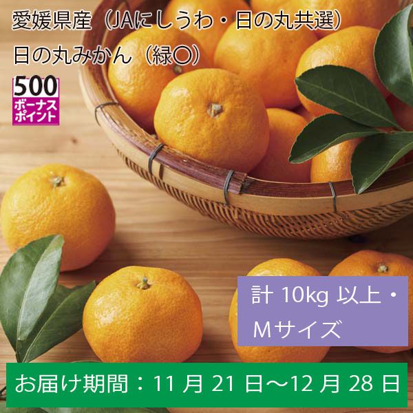 愛媛県産（JAにしうわ・日の丸共選）日の丸みかん（緑〇）計１０Kg以上・Ｍサイズ