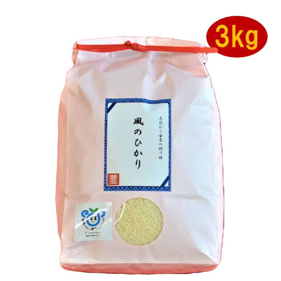 令和5年産　お米　白米　精米　3kg　コシヒカリ　風のひかり