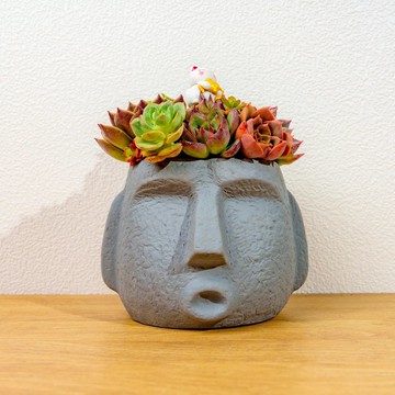 多肉組盆 大摩艾盆栽深灰 桌上型盆栽 開幕送禮 喬遷禮物 植栽