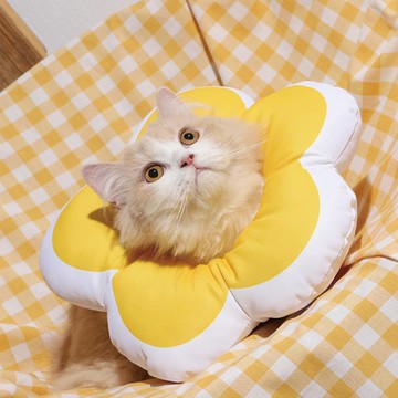 防水伊麗莎白圈貓狗軟項圈可愛花朵貓咪頭套絕育脖圈寵物恥辱圈 99購物節