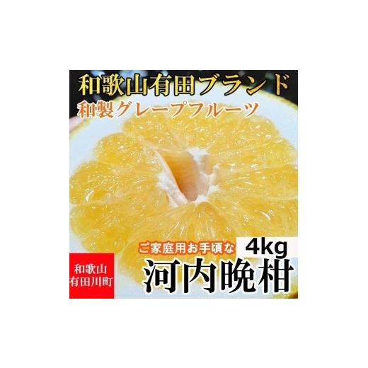 ふるさと納税 和歌山県 有田川町 河内晩柑 ４kg 和製グレープフルーツ ブラン 和歌山 ブランド 有田みかん ご家庭用