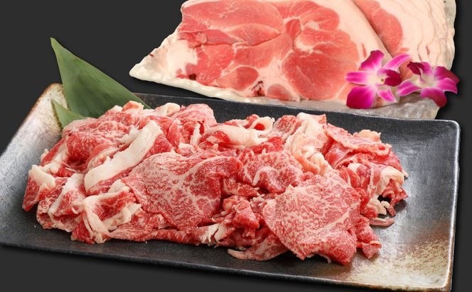 牛肉＆豚肉切り落としセット K16_T004_2