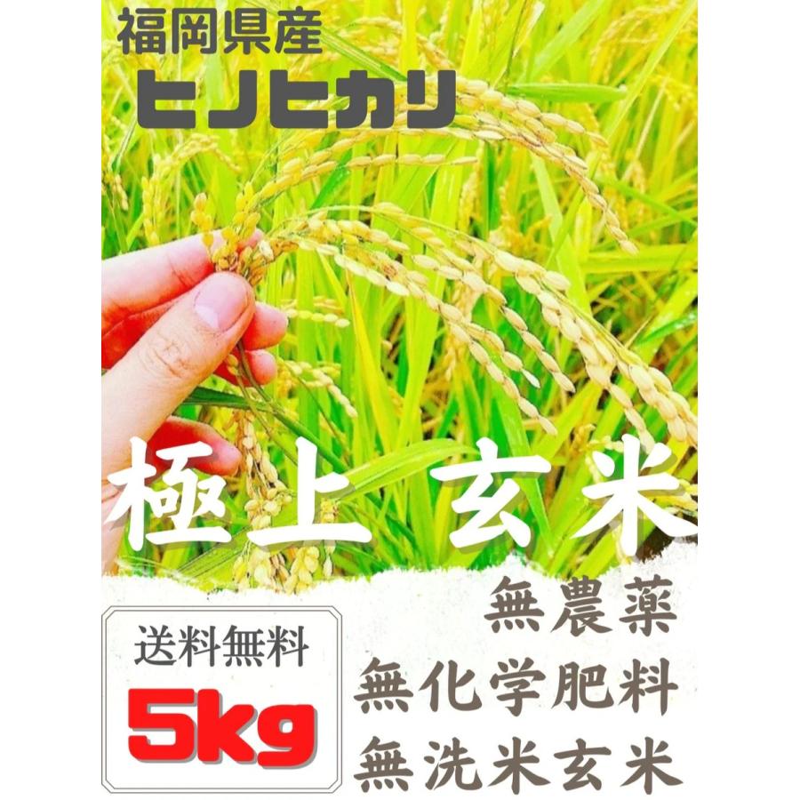 福岡県産 ヒノヒカリ 無農薬玄米 5kg 令和5年