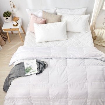 棉被 / 雙人特級90/10羽絨被 台灣製