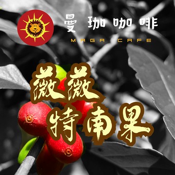 曼珈咖啡【瓜地馬拉 薇薇特南果】咖啡生豆 1公斤