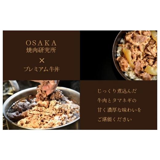 ふるさと納税 大阪府 泉佐野市 北国からの贈り物 定期便 牛丼の具 1.5kg（150g×10）全3回