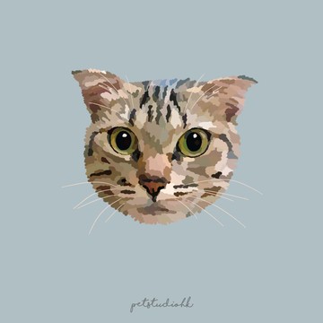 寵物插畫 / 客製化 / 來圖 / 似顏繪 | 毛孩工作室 PETSTUDIOHK