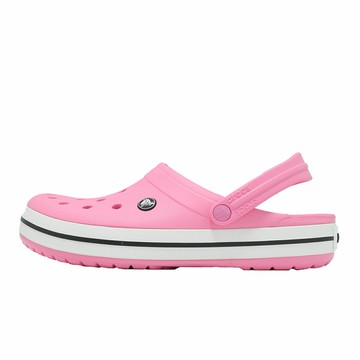 Crocs 洞洞鞋 洞洞鞋 Crocband 男鞋 女鞋 鶴紅 涼拖鞋 休閒鞋 卡駱馳 11016669