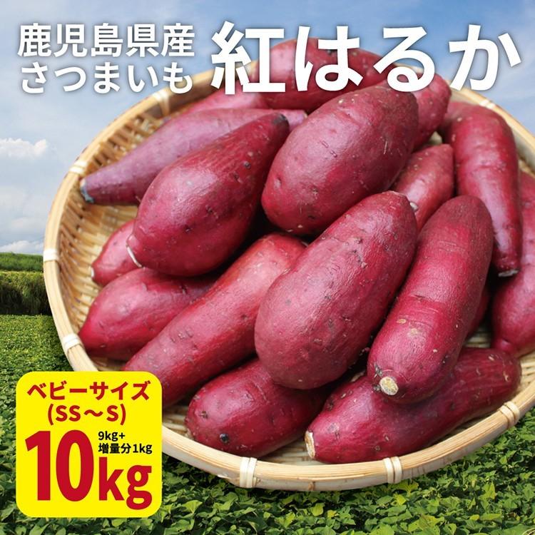 さつまいも 紅はるか ベビーサイズ 土付き 10kg (9kg 傷み保証分1kg) (130g以下のSS〜Sサイズ） 2023年産