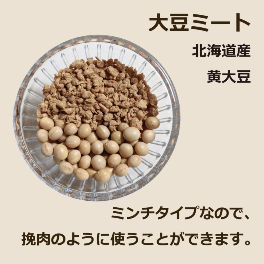 大豆ミート 国産 北海道大豆100％ 200g ミンチタイプ ひき肉