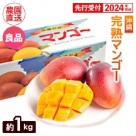 ヤマト農園　完熟マンゴー約1kg（良品）