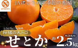 F08-6.ＪＡにしうわの季節の柑橘（せとか 約2.5kg 化粧箱 施設栽培）