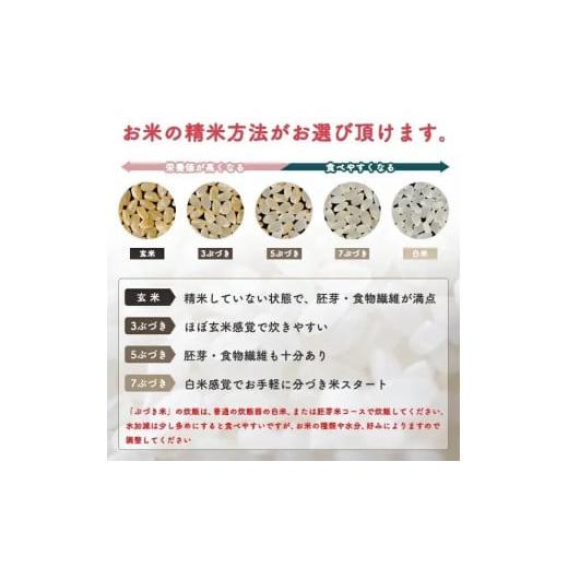 ふるさと納税 秋田県 潟上市 令和5年産 秋田県産 あきたこまち15kg(5kg×3袋)×6か月