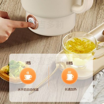 跨境日本美國燒水壺110V小型1L戶外出差留學不銹鋼便攜式電熱水壺