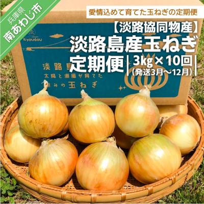 ふるさと納税 南あわじ市 淡路島産玉ねぎ 定期便　3kg×10回(発送3月〜12月)