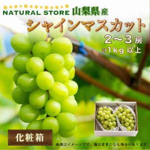 [最短順次発送]  シャインマスカット 計1kg以上 2-3房入 山梨県 夏ギフト 夏ギフト お中元 御中元