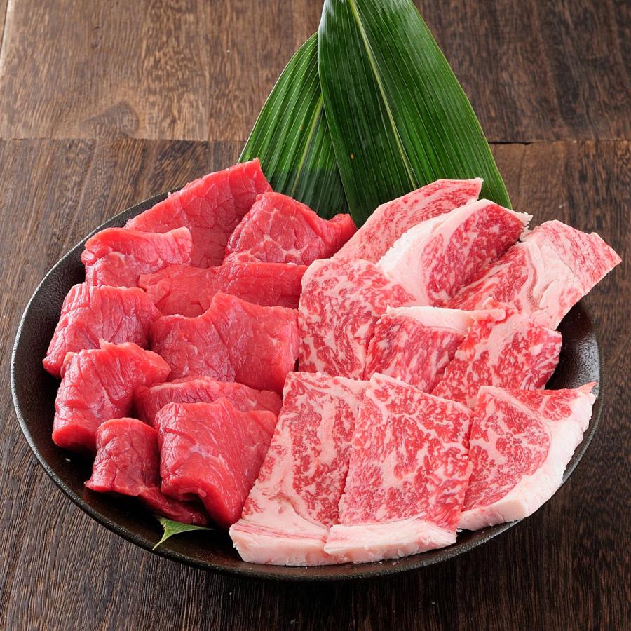 氷温(R)熟成牛 焼肉セット 3〜4人前 2種 詰め合わせ 黒毛和牛