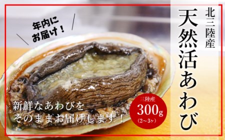 ★産地直送★北三陸産天然活あわび300ｇ