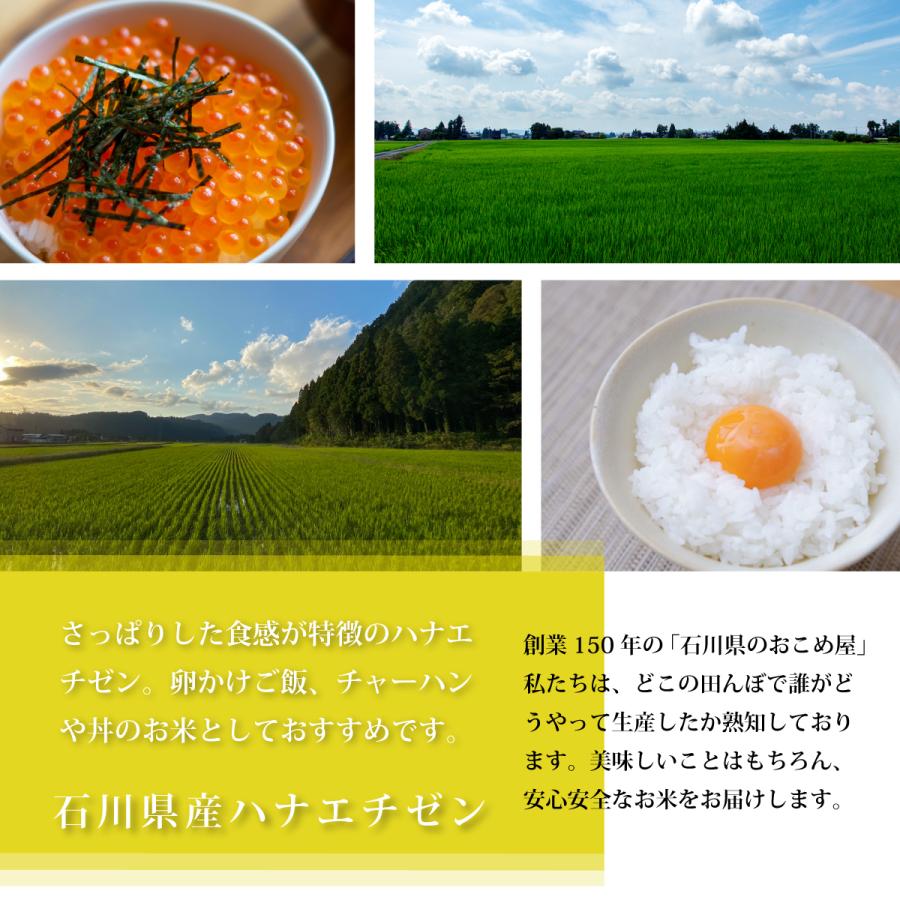 玄米 ハナエチゼン 3kg 石川県産 3キロ 令和5年産 新米