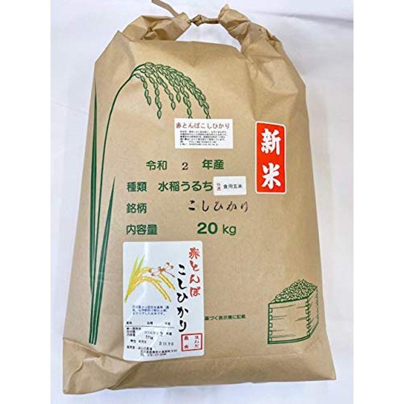 令和4年産 新米 石川県産 加賀百万石 赤とんぼ こしひかり 玄米 20ｋｇ