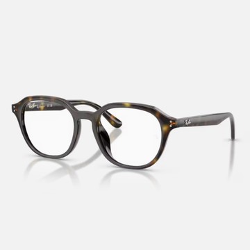 【RayBan 雷朋】圓形膠框光學眼鏡(RX7259D-2012 52mm)